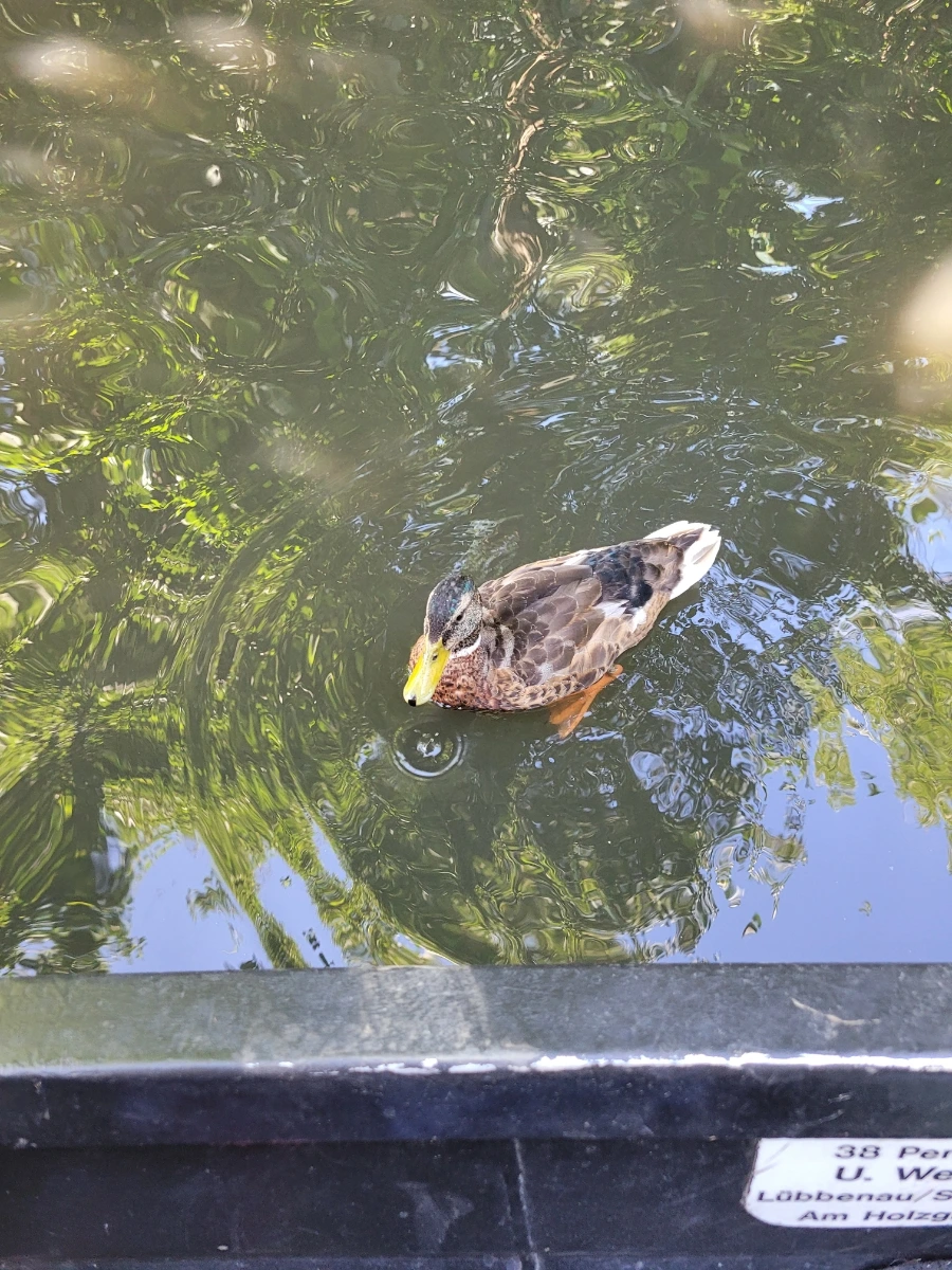 20220716%EF%BC%BF152246.jpg?type=w1