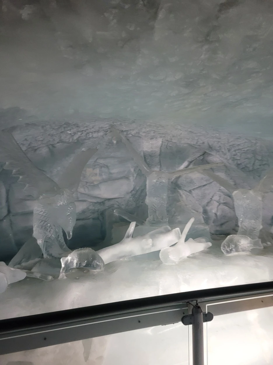 KakaoTalk_20220628_130813506_17.jpg?type=w1