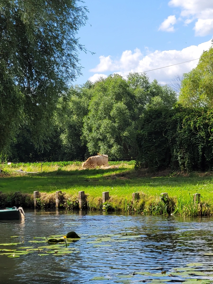 20220716%EF%BC%BF160256.jpg?type=w1