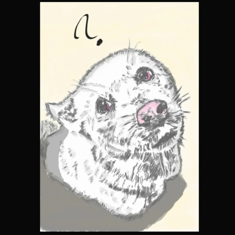 IMG_20201108_021408_548.jpg?type=w773