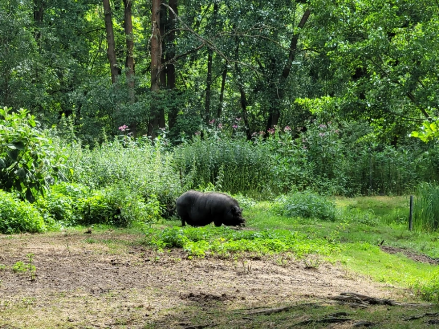 20220716%EF%BC%BF153951.jpg?typew1