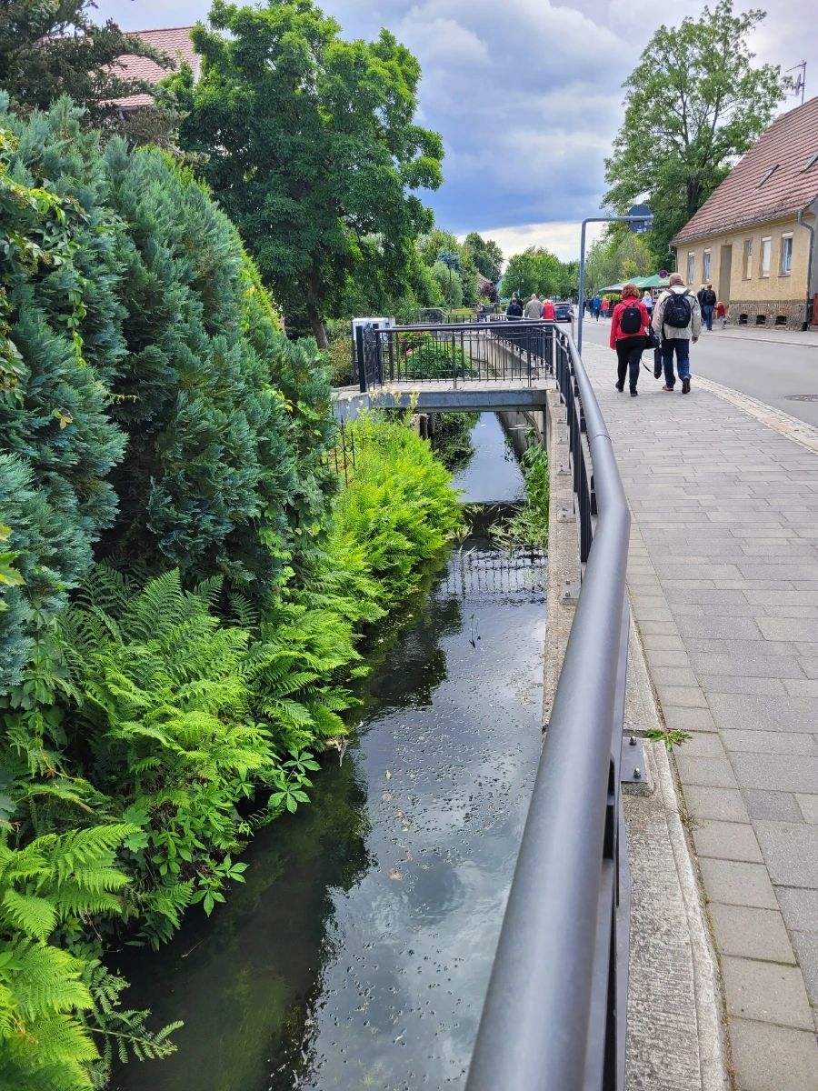 20220716%EF%BC%BF141914.jpg?typew1