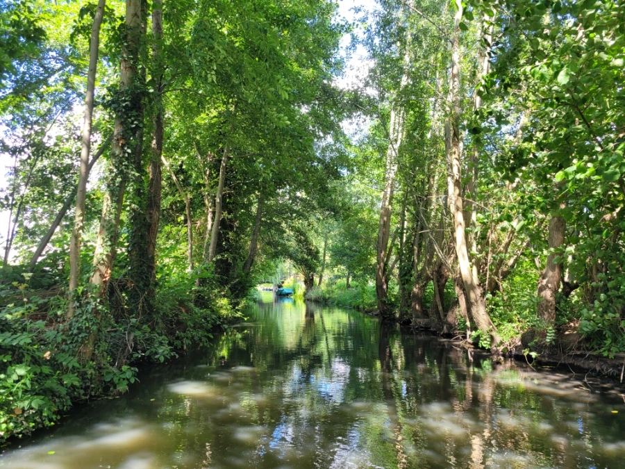 20220716%EF%BC%BF150543.jpg?typew1