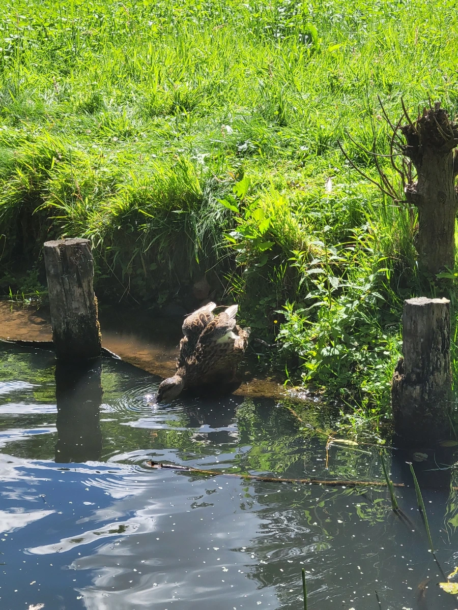 20220716%EF%BC%BF152559.jpg?typew1