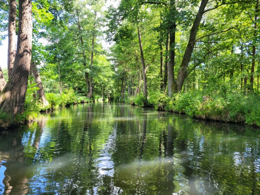 20220716%EF%BC%BF152853.jpg?typew1