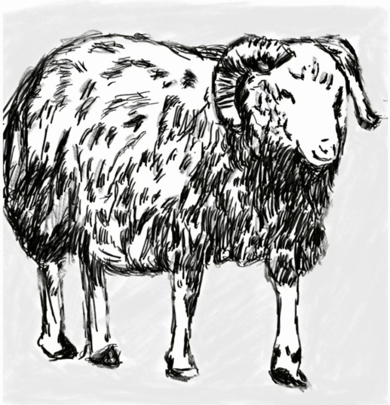 20211007%EF%BC%BF012805.jpg?type=w773