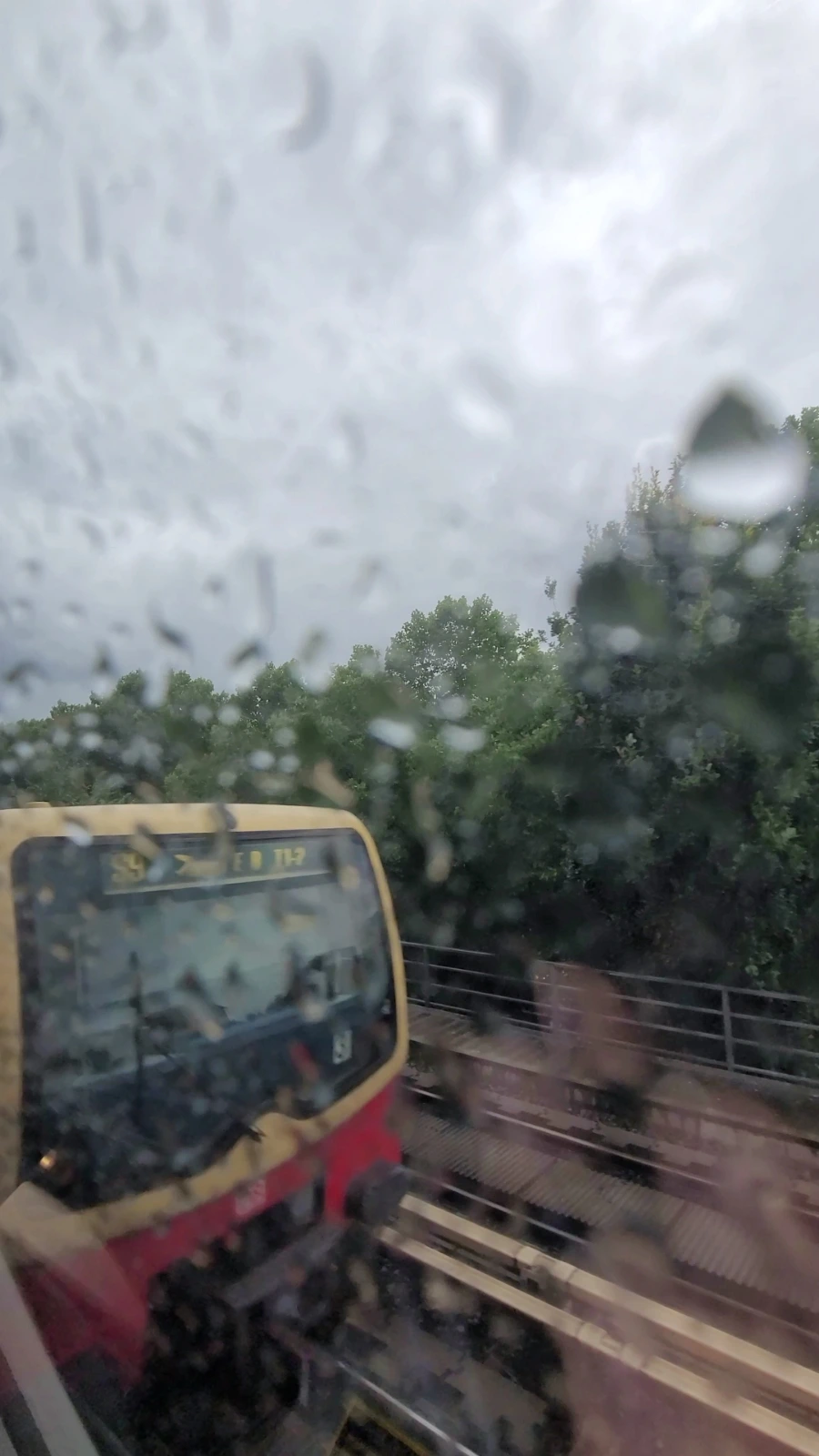 VideoCapture%EF%BC%BF20220709%EF%BC%8D144837.jpg?typew1