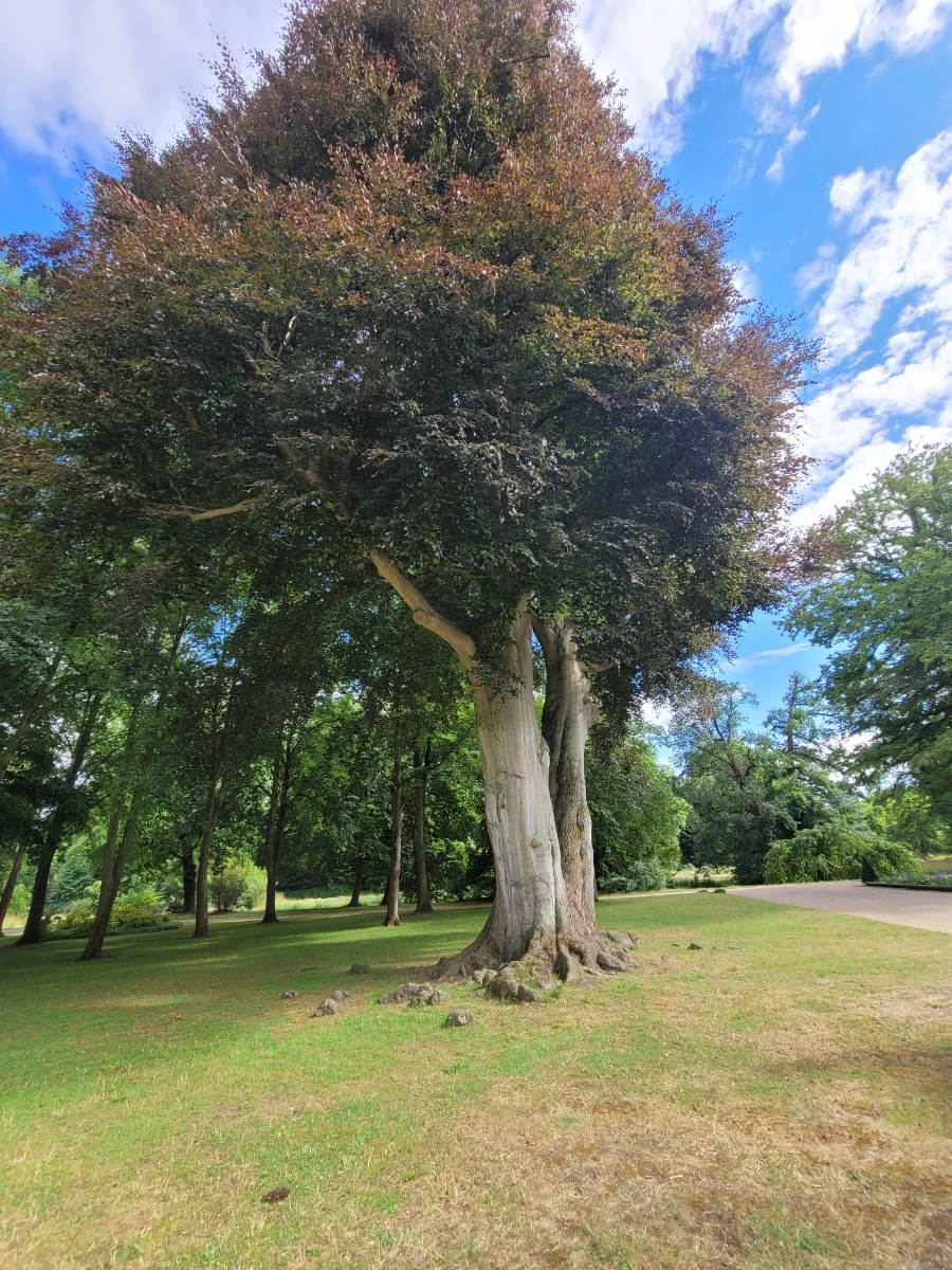 20220709%EF%BC%BF165347.jpg?typew1