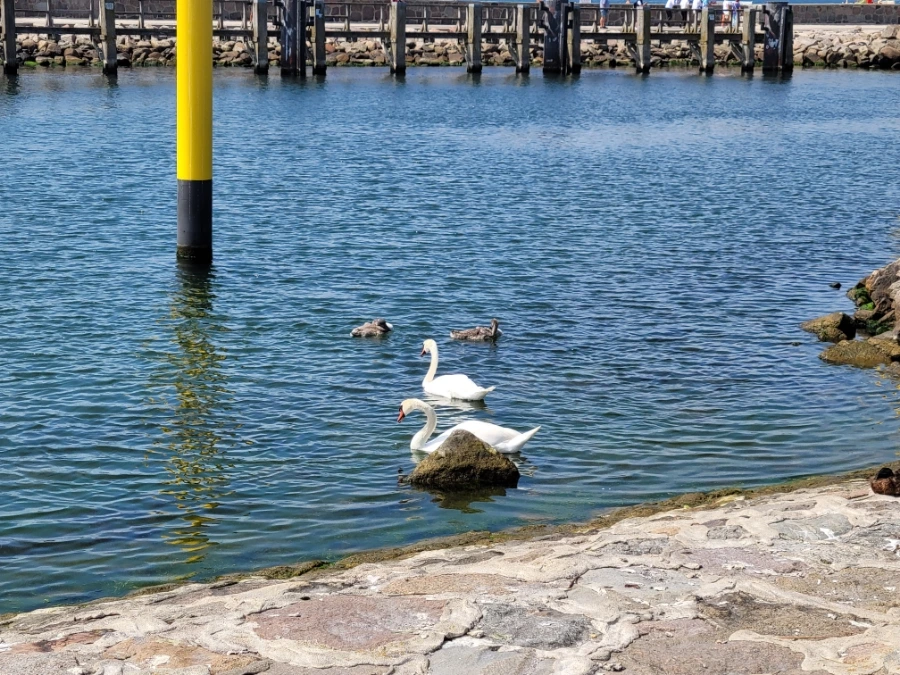 20220713%EF%BC%BF142054.jpg?type=w1