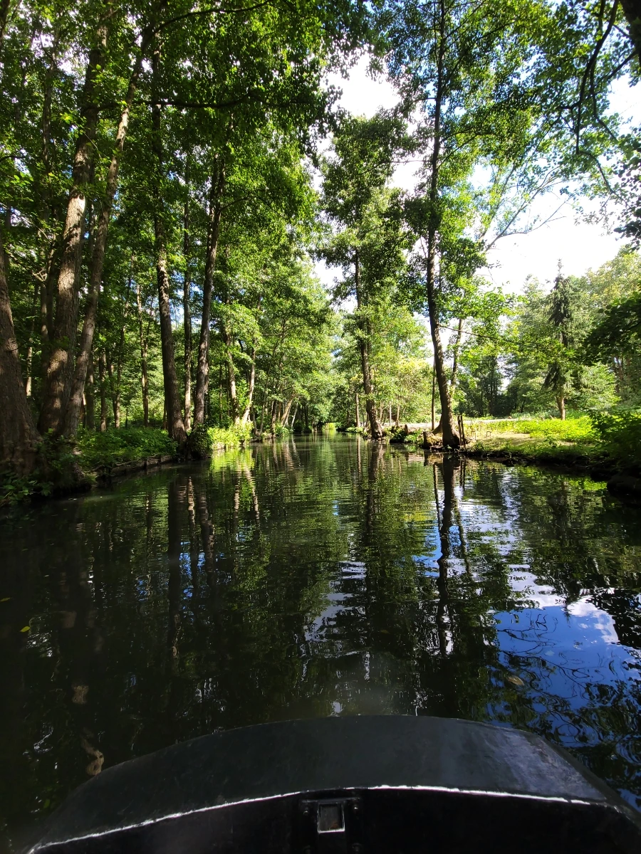 20220716%EF%BC%BF153857.jpg?typew1