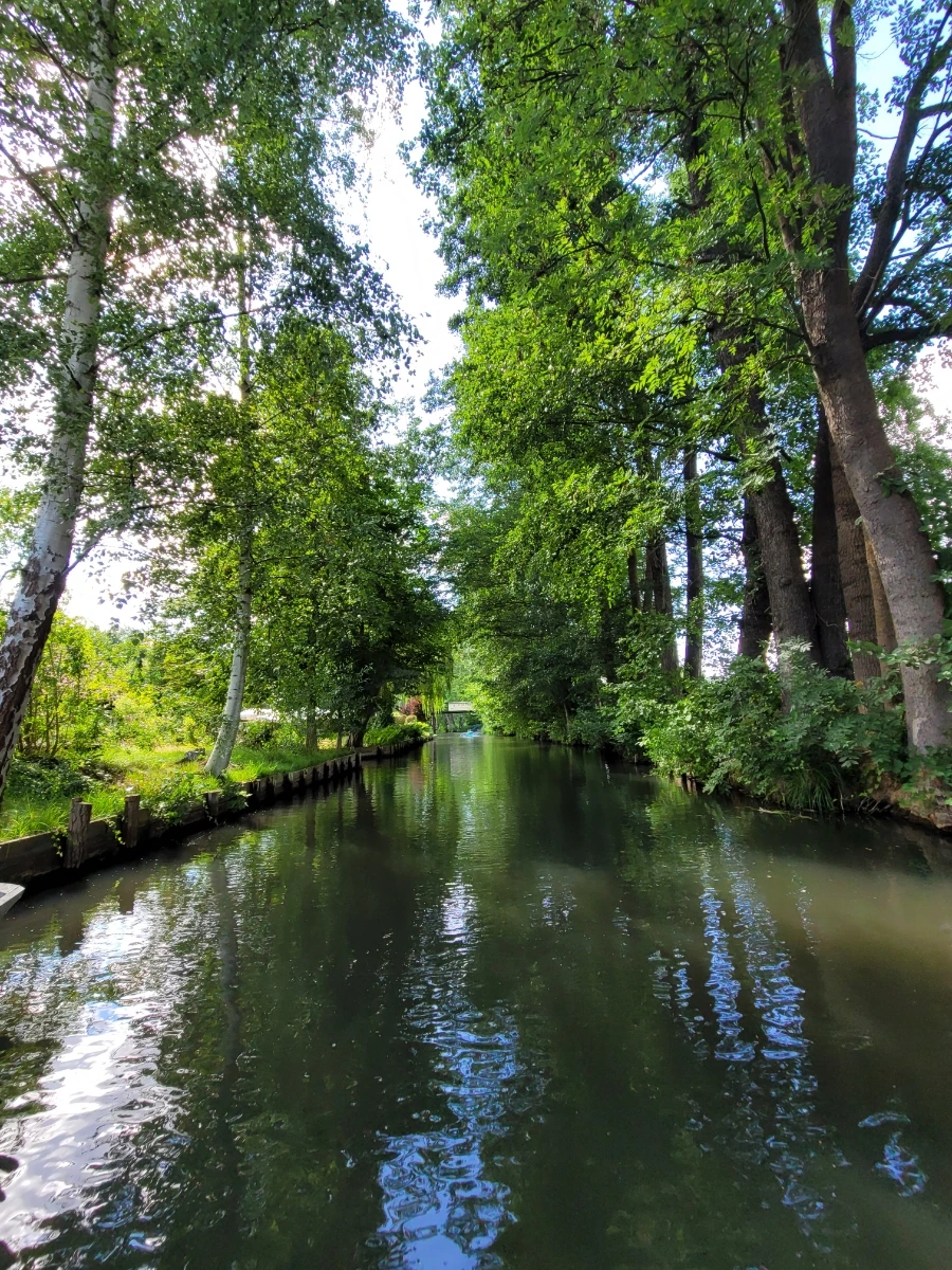 20220716%EF%BC%BF160128.jpg?typew1