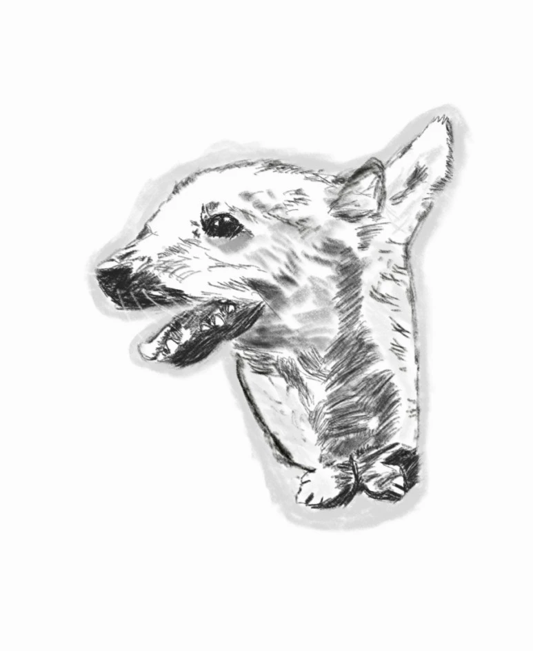 20211007%EF%BC%BF013823.jpg?type=w773