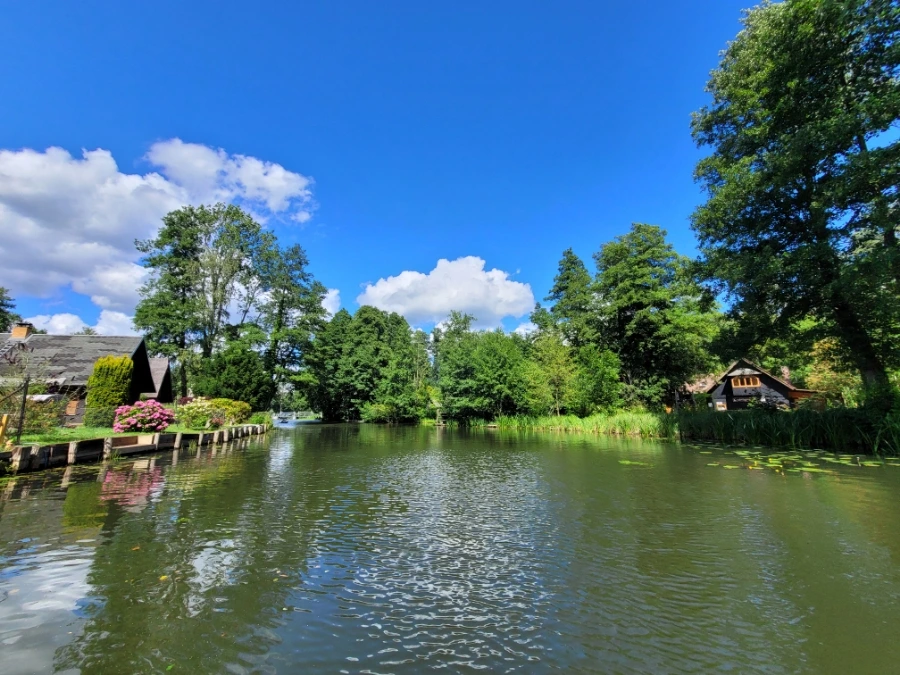 20220716%EF%BC%BF151308.jpg?typew1