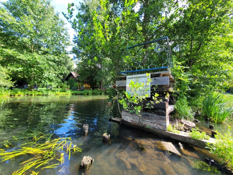 20220716%EF%BC%BF151406.jpg?typew1