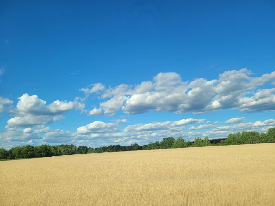 20220716%EF%BC%BF173935.jpg?type=w1