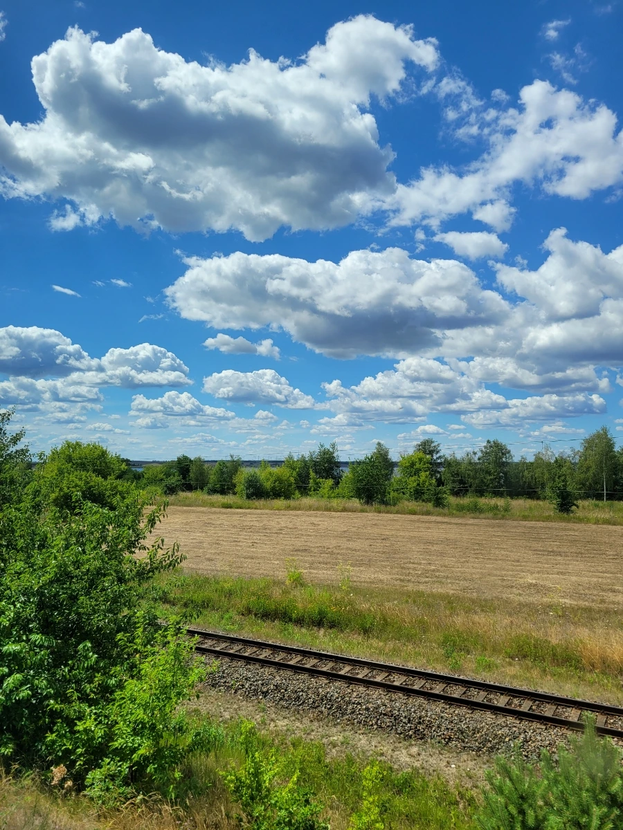 20220711%EF%BC%BF134024.jpg?typew1