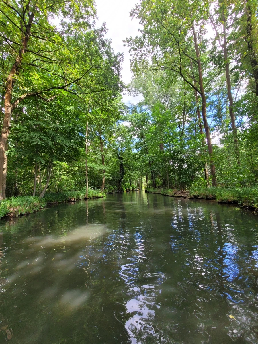 20220716%EF%BC%BF153710.jpg?typew1