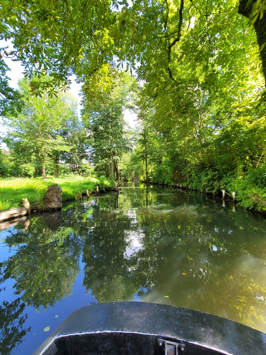 20220716%EF%BC%BF152715.jpg?typew1