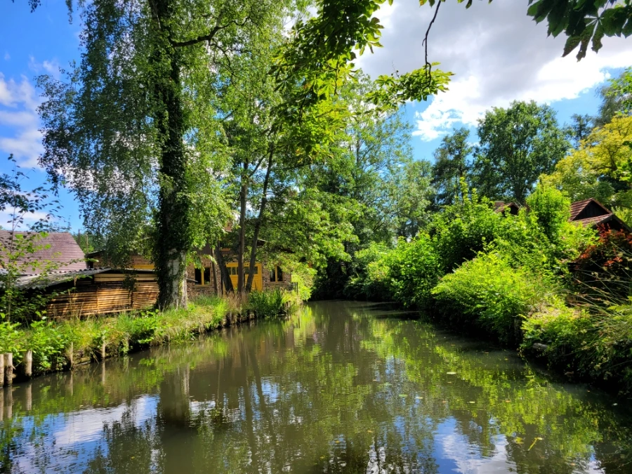 20220716%EF%BC%BF151606.jpg?typew1