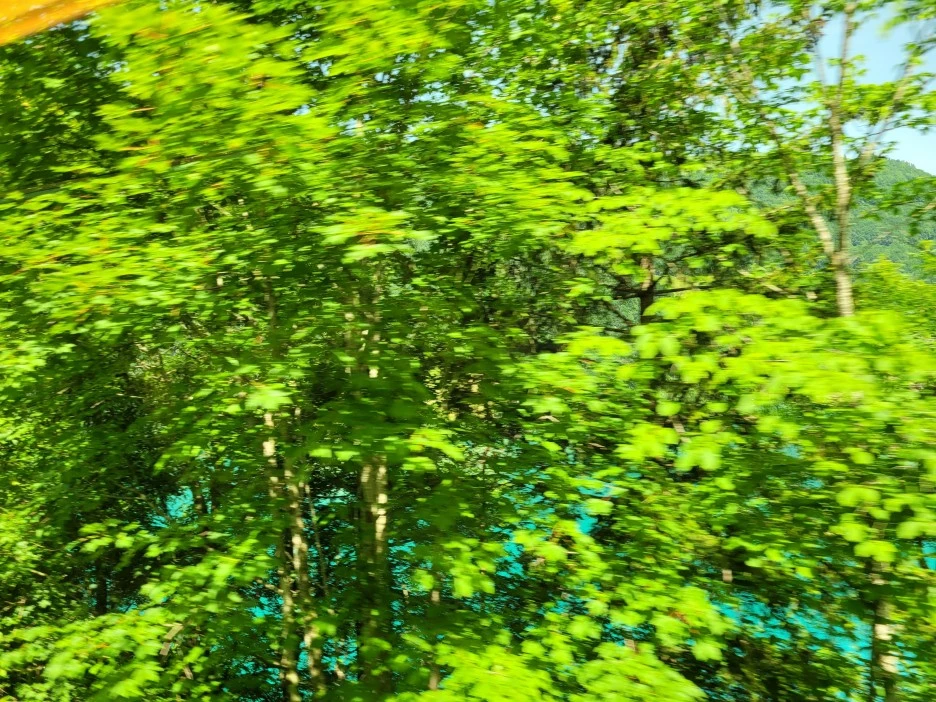 20220618_110646.jpg?type=w1