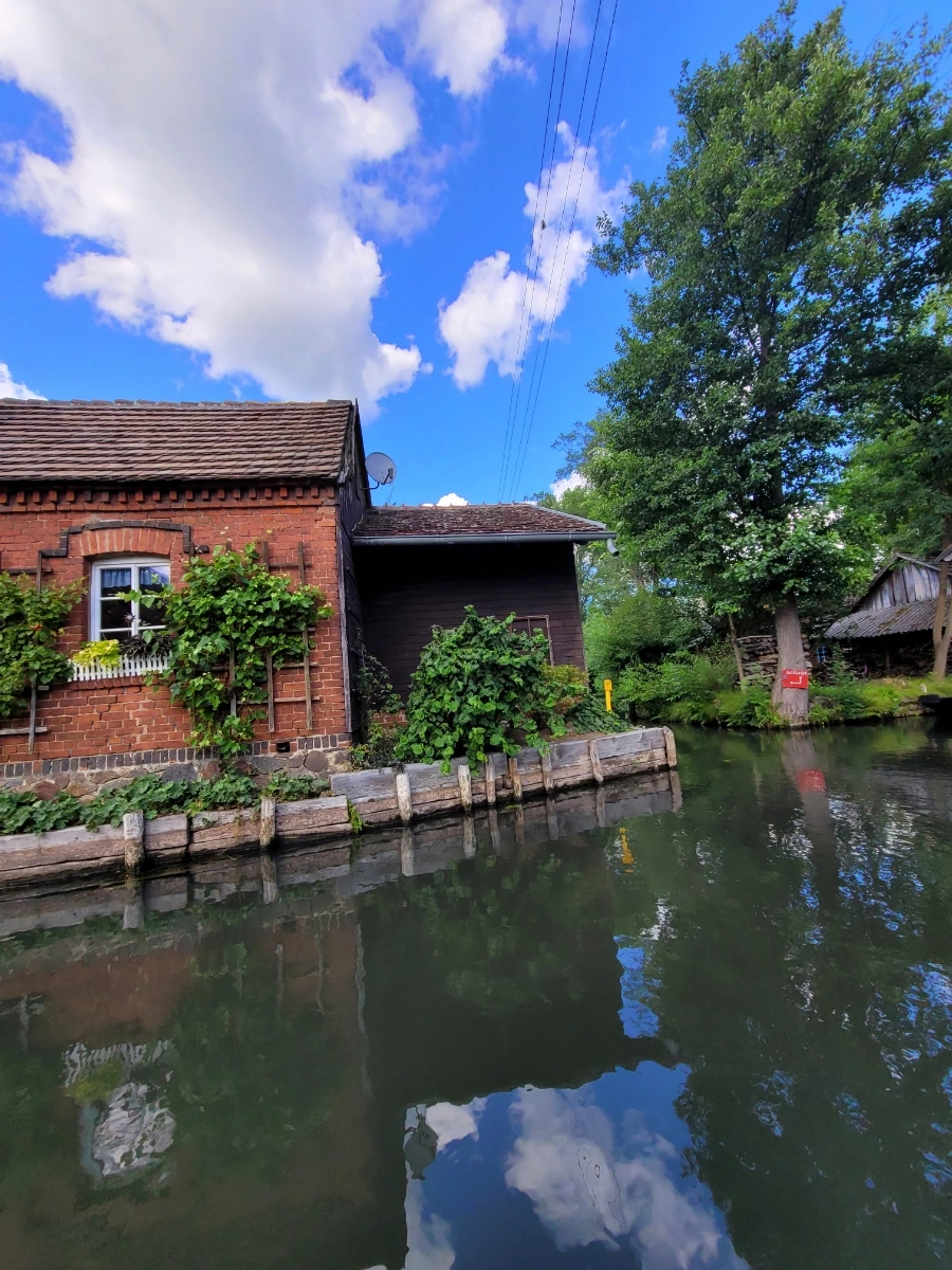 20220716%EF%BC%BF155935.jpg?typew1