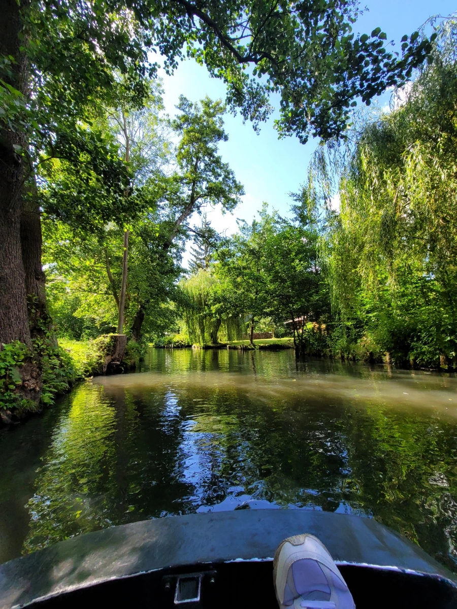 20220716%EF%BC%BF160932.jpg?typew1