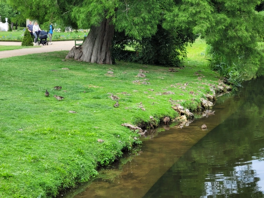 20220709%EF%BC%BF172035.jpg?typew1