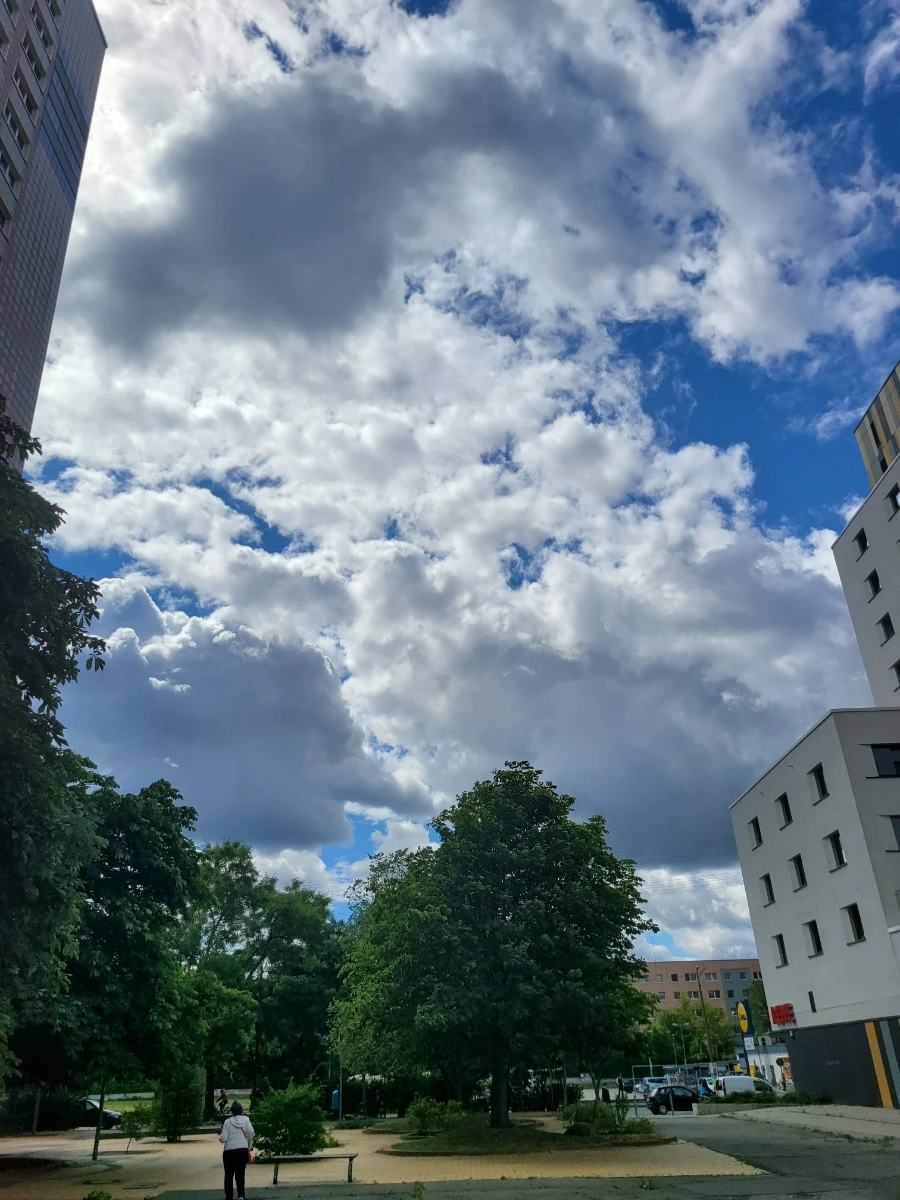 20220716%EF%BC%BF113226.jpg?typew1