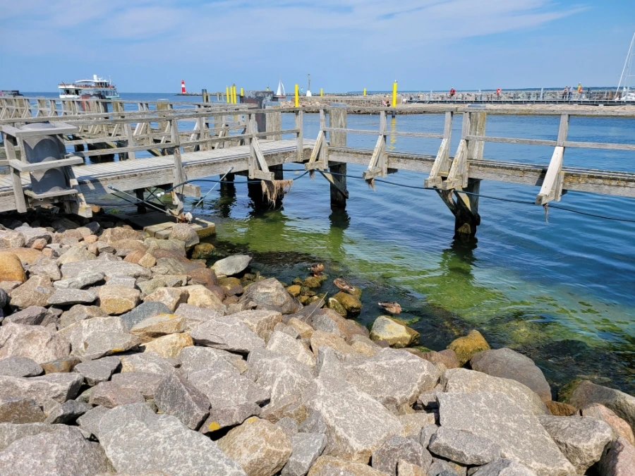 20220713%EF%BC%BF145259.jpg?type=w1