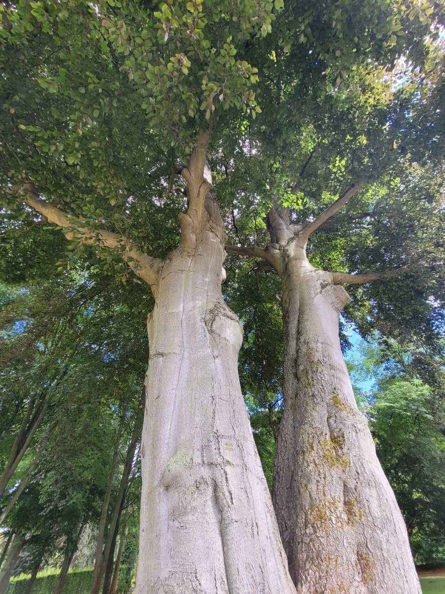 20220709%EF%BC%BF165402.jpg?typew1