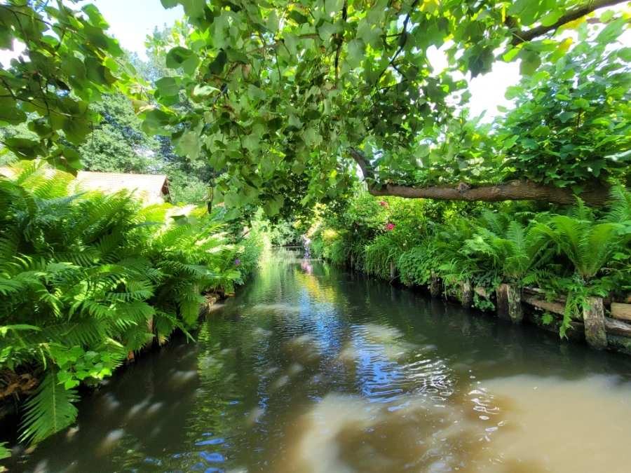 20220716%EF%BC%BF151817.jpg?typew1