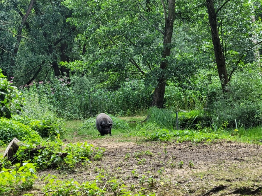 20220716%EF%BC%BF153957.jpg?typew1