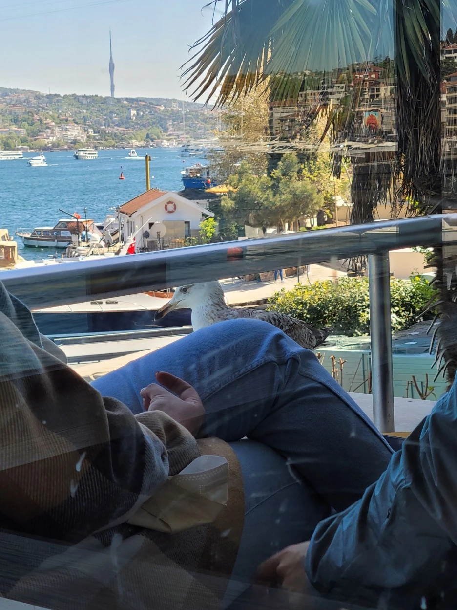 20220509_150207.jpg?type=w1