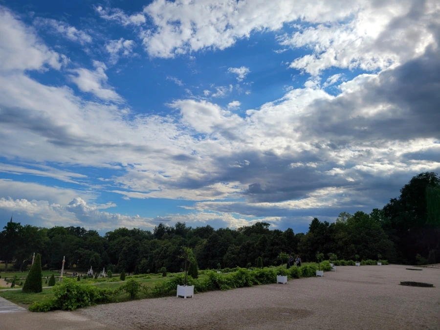 20220709%EF%BC%BF173754.jpg?type=w1