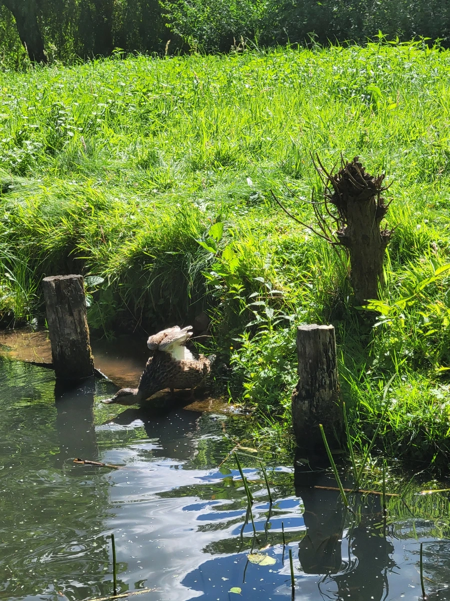 20220716%EF%BC%BF152558.jpg?typew1