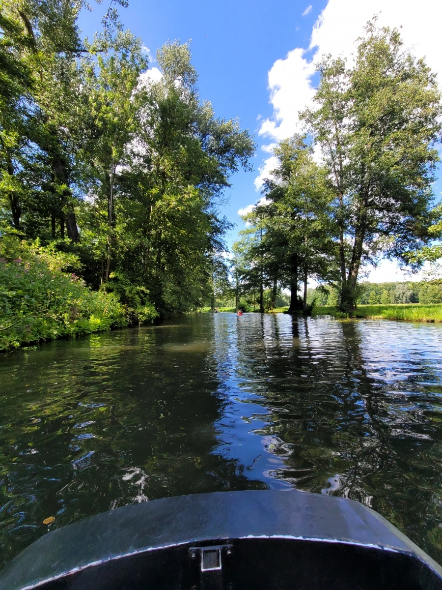 20220716%EF%BC%BF161332.jpg?typew1