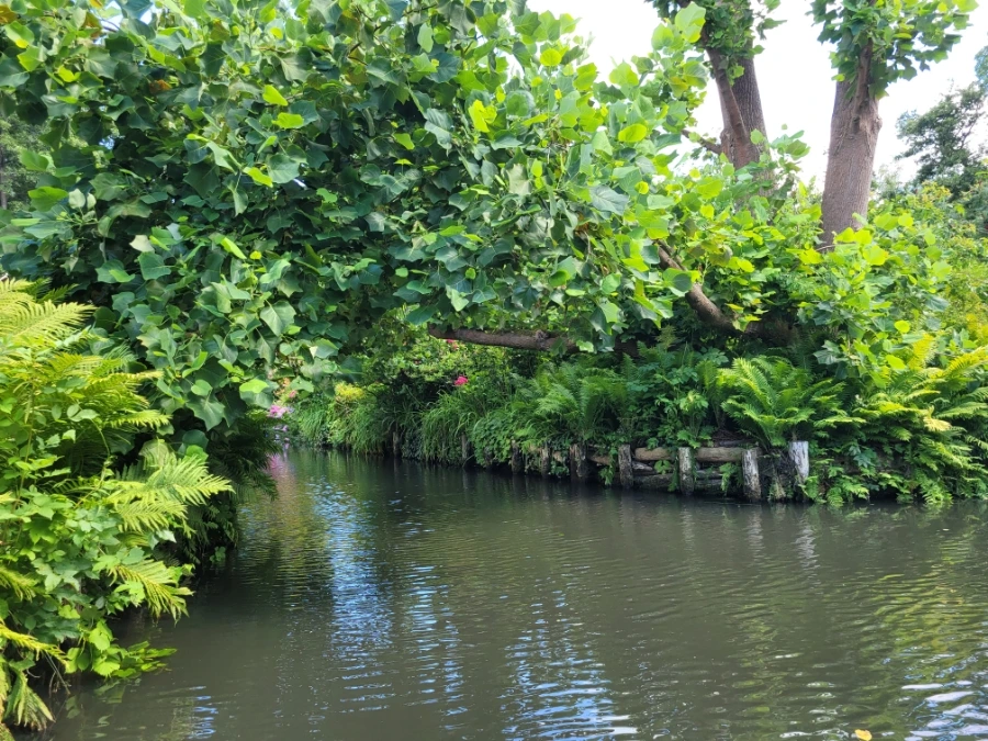 20220716%EF%BC%BF151808.jpg?typew1