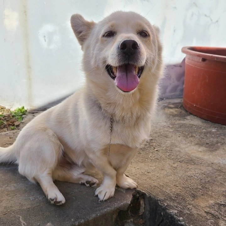 IMG_20201112_055615_961.jpg?type=w773