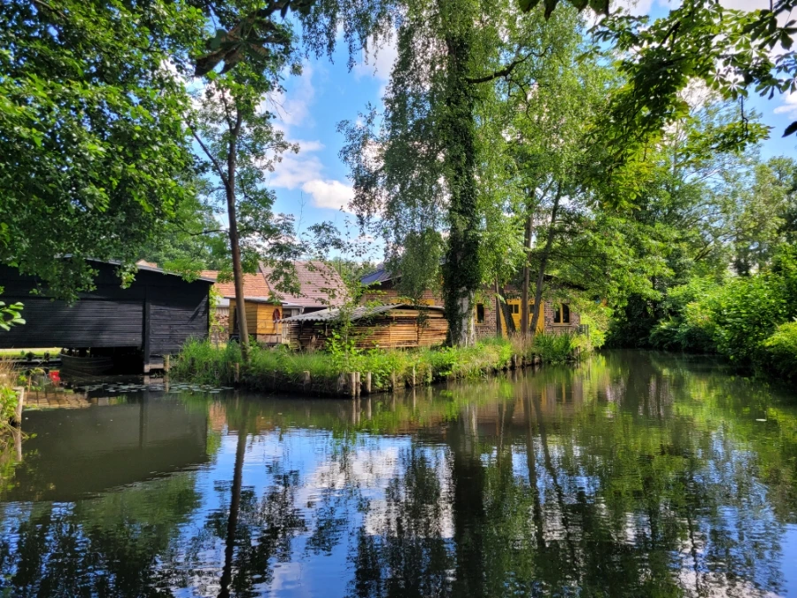 20220716%EF%BC%BF151601.jpg?typew1