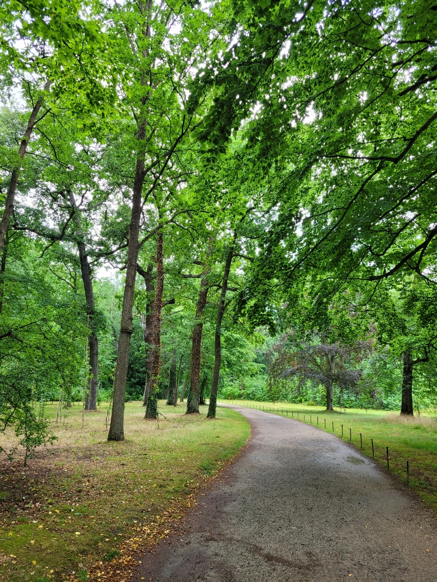 20220709%EF%BC%BF170627.jpg?typew1