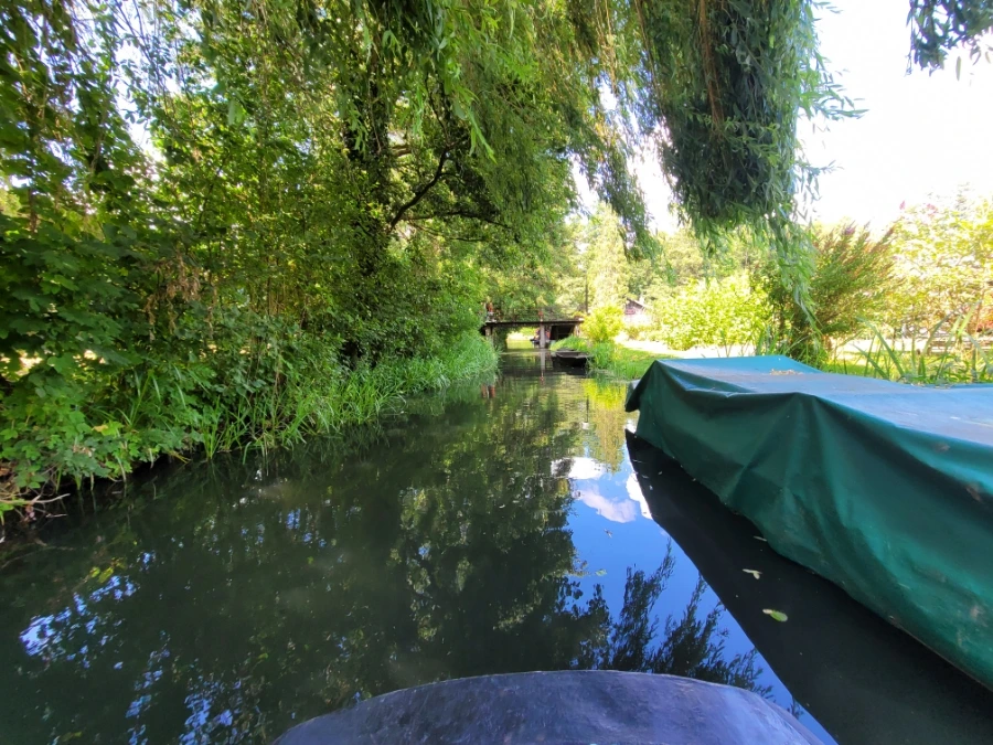 20220716%EF%BC%BF150709.jpg?typew1