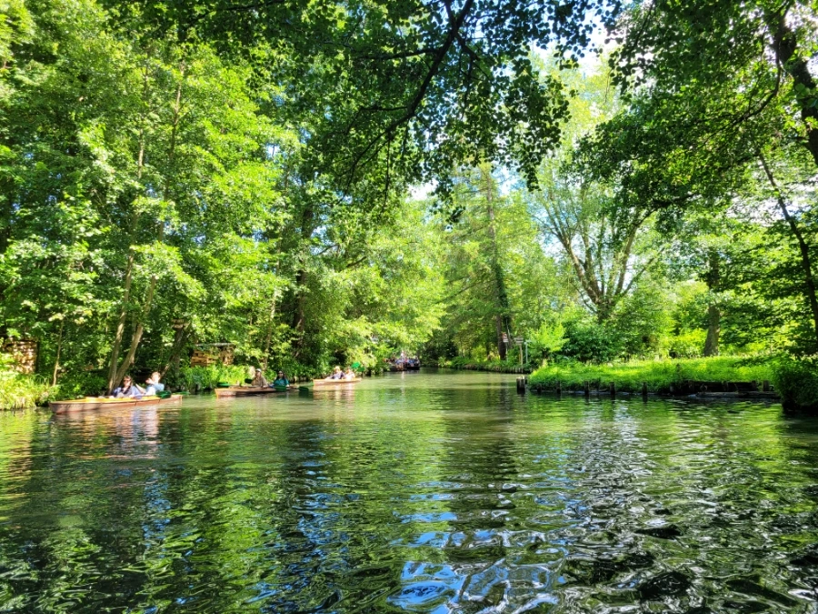 20220716%EF%BC%BF152517.jpg?typew1