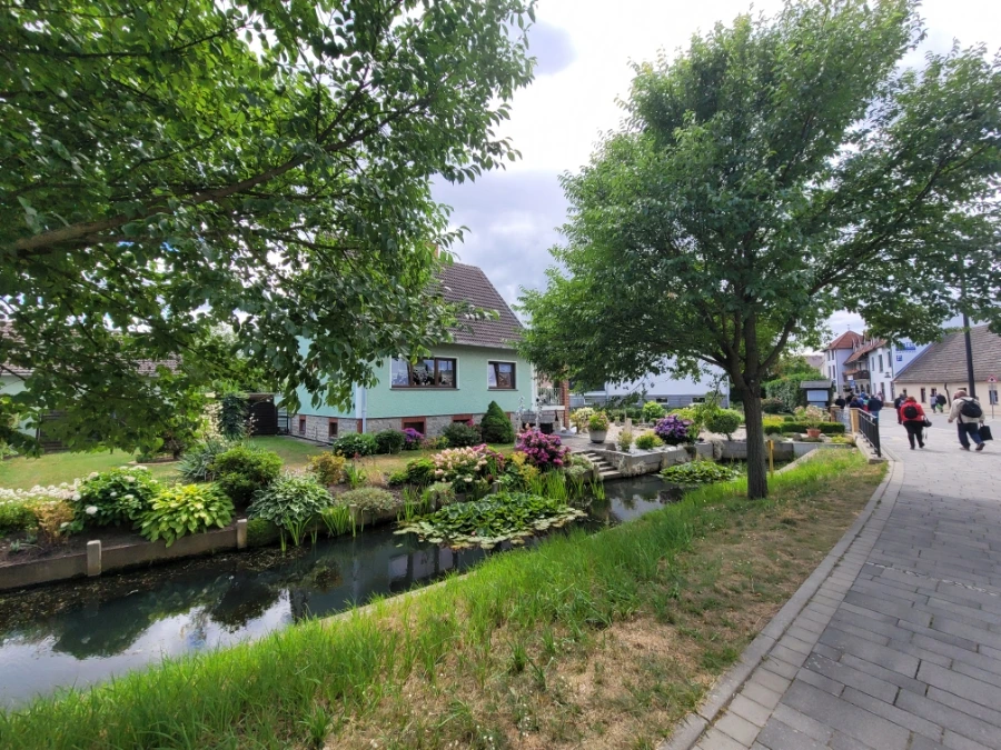 20220716%EF%BC%BF142228.jpg?typew1