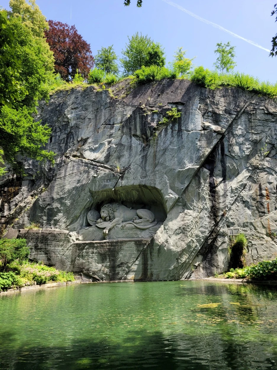 20220618_123103.jpg?type=w1