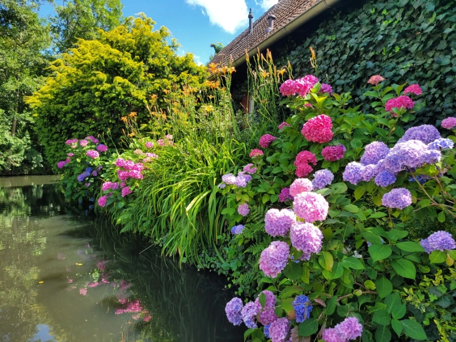 20220716%EF%BC%BF151843.jpg?type=w1