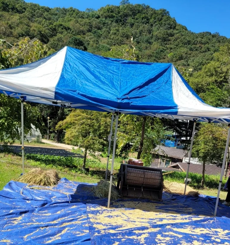 1727185140672.jpg?type=w773