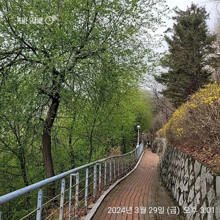 2024%EF%BC%8D03%EF%BC%8D29T15%EF%BC%BF01%EF%BC%BF25.258.jpg?type=w773