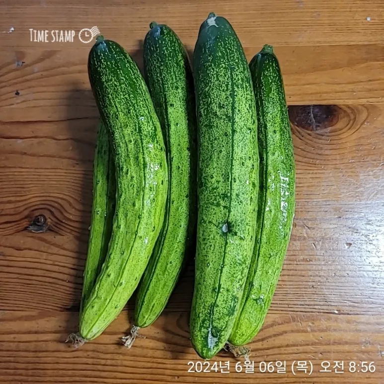 2024%EF%BC%8D06%EF%BC%8D06T08%EF%BC%BF56%EF%BC%BF50.400.jpg?type=w773