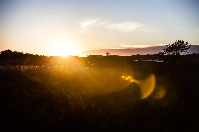 1514004.jpg?type=w773