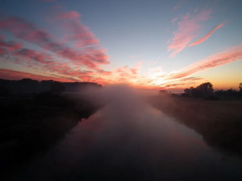 1513374.jpg?type=w773